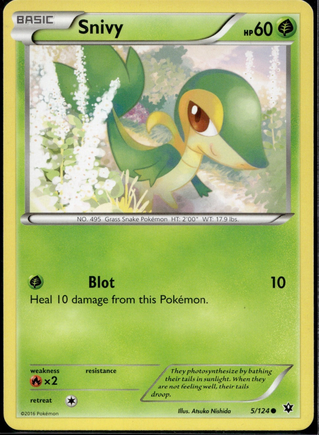 Snivy 5/124 FCO Fates Collide Pokemon Lightly Played