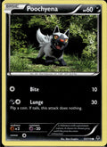 Poochyena 53/119 PHF Phantom Forces Pokemon Lightly Played