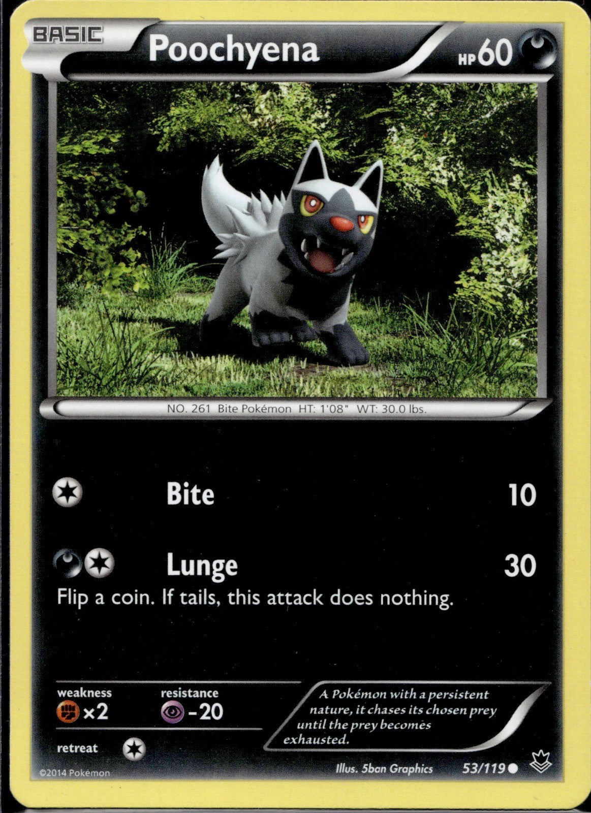 Poochyena 53/119 PHF Phantom Forces Pokemon Lightly Played