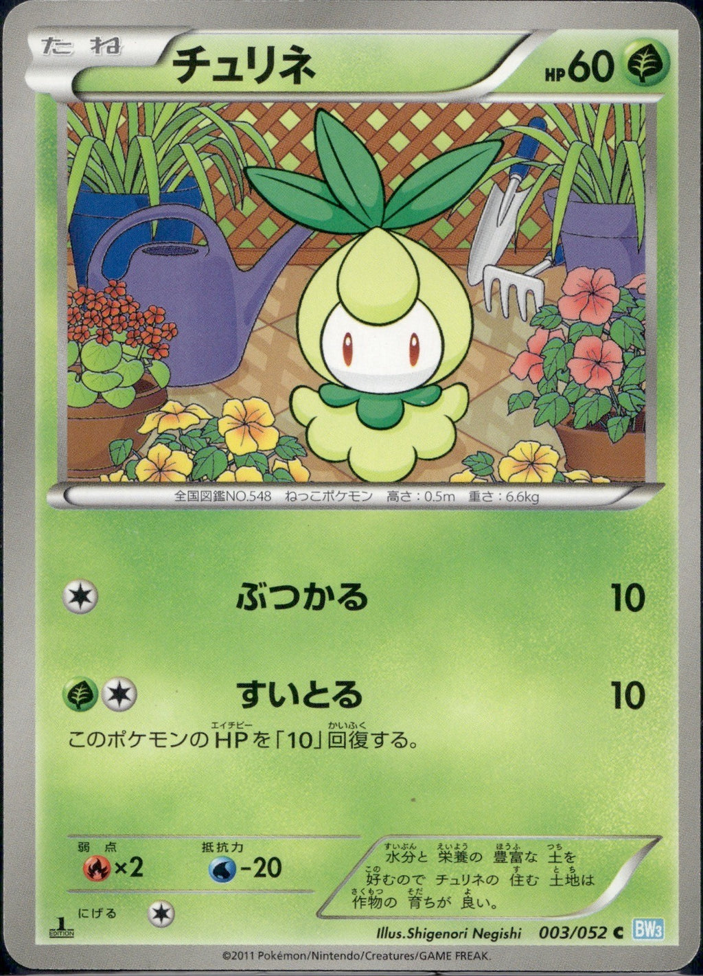 Petilil 003/052 BW3 Hail Blizzard Pokemon Japanese 1st Edition Lightly Played