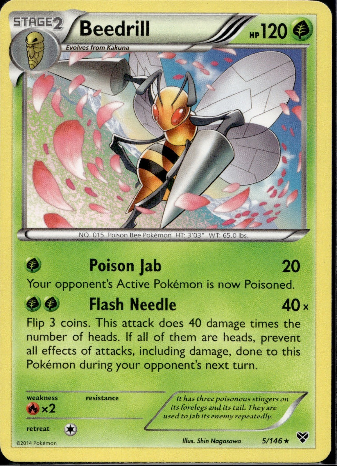 Beedrill 5/146 XY XY Pokemon Lightly Played