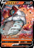 Pokemon Card