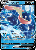Pokemon Card