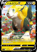 Pokemon Card