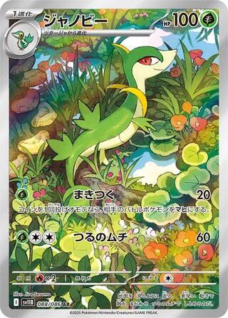 Pokemon Card