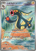 Pokemon Card