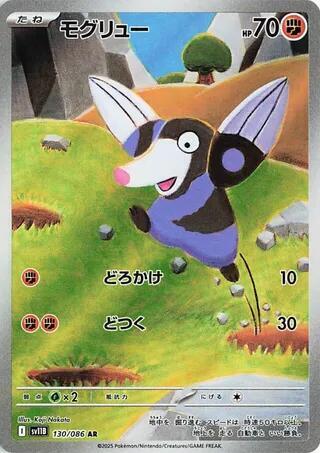 Pokemon Card