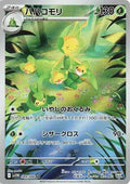Pokemon Card