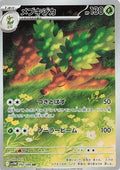Pokemon Card