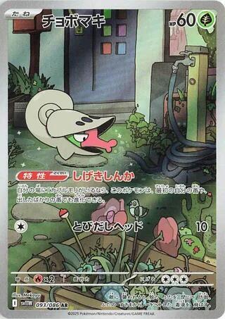 Pokemon Card