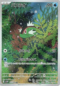 Pokemon Card