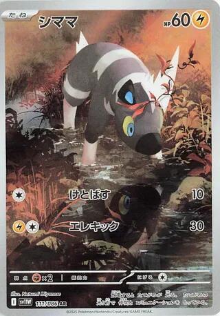 Pokemon Card