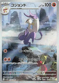 Pokemon Card