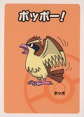 Pokemon Card