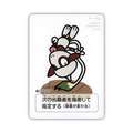 Pokemon Card