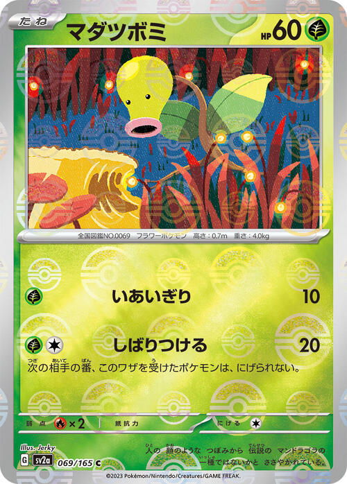 Pokemon Card