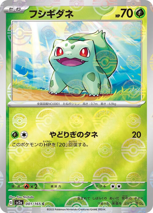 Pokemon Card