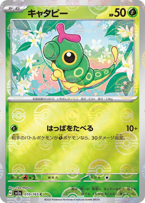 Pokemon Card