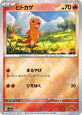 Pokemon Card