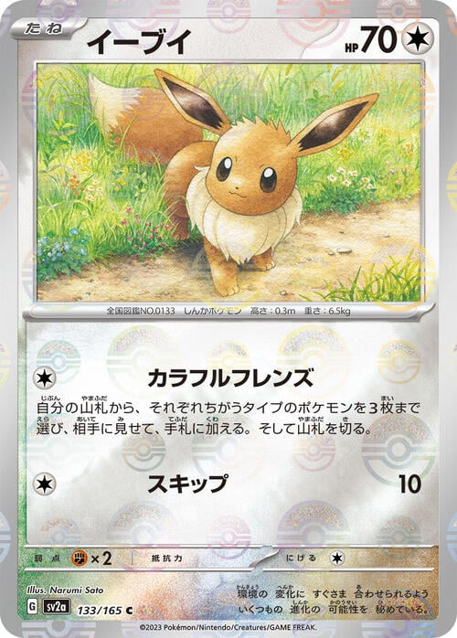 Pokemon Card