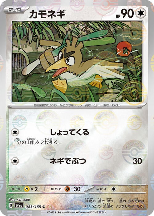 Pokemon Card