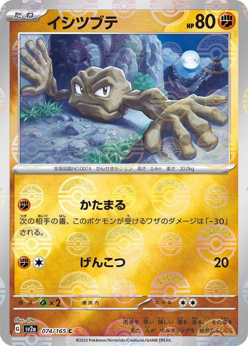 Pokemon Card
