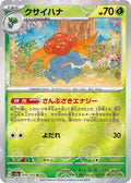 Pokemon Card