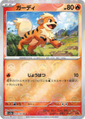 Pokemon Card