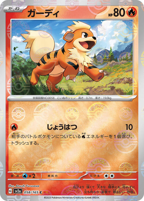 Pokemon Card