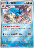 Pokemon Card