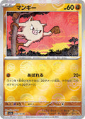 Pokemon Card