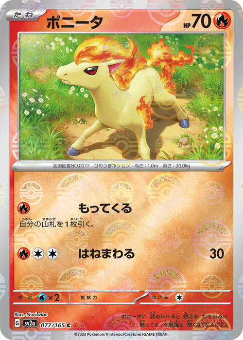 Pokemon Card