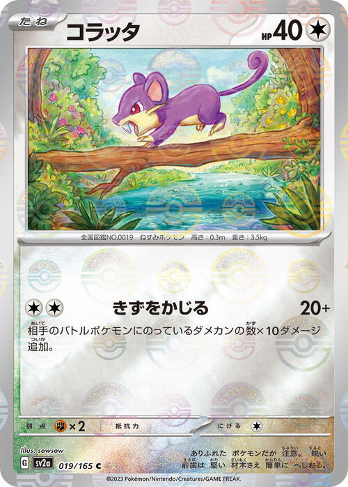 Pokemon Card