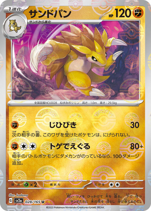 Pokemon Card