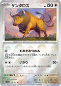 Pokemon Card
